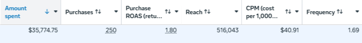 Ads Manager results for the Ravine ad